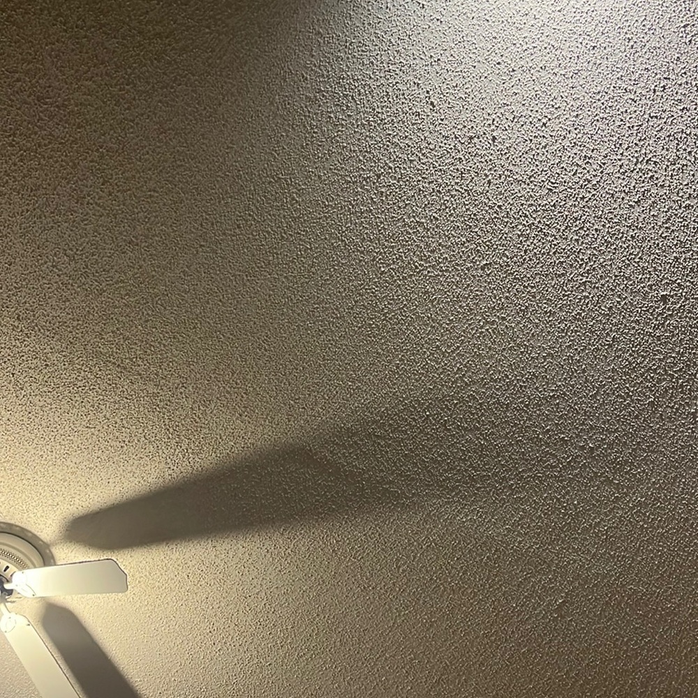 Meet your Posher, Carter